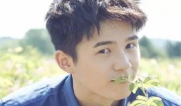 娱乐圈内人真实爆料吴磊,娱乐圈背后的惊人内幕