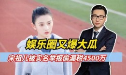 娱乐圈爆料真实情况是什么,揭开真实内幕的神秘面纱