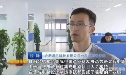 合肥作家爆料新闻报道事件,一桩新闻事件背后的真相