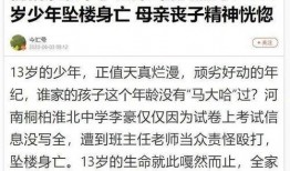 南阳学校爆料事件视频最新,真相揭开，家长学生共同关注