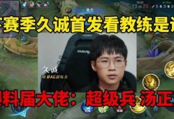 茶叶大佬爆料视频大全,视频大全中的茶叶奥秘与传奇故事