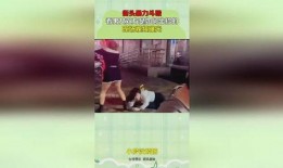 瓶子爆料阿豆怎么做视频,瓶子爆料背后的创作秘籍