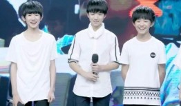 tfboys娱乐吃瓜酱,揭秘偶像背后的真实生活
