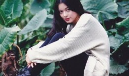 香港明星经典爆料娱乐圈,明星经典爆料大揭秘