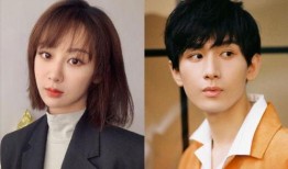 成毅消息爆料最新消息,最新动态揭秘