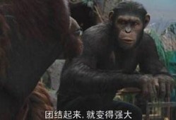 猩球崛起 免费在线观看,自由之战免费在线观影指南