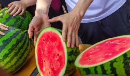 吃瓜号免费,吃瓜号带你畅游明星幕后生活