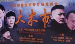 大米市在线观看,揭秘大米市场的风云变幻