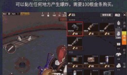 黄金岛大爆料视频,揭秘神秘岛屿的宝藏与秘密