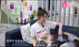 娱乐圈前段时间爆料,揭秘明星背后的秘密与真相