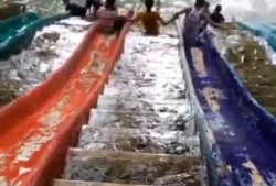 搞笑场景大爆料视频,笑料横生！搞笑场景大爆料视频幕后花絮大揭秘