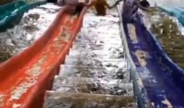 搞笑场景大爆料视频,笑料横生！搞笑场景大爆料视频幕后花絮大揭秘