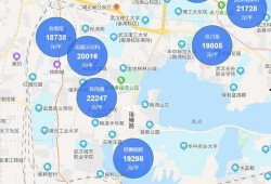 武汉洪山区最新爆料,揭秘神秘事件背后的真相