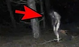 风水师被捉后爆料的视频,风水秘术背后的惊人真相