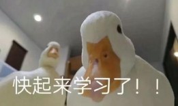 爆料鸭子吃药视频播放,网络热传鸭子吃药视频背后的真相