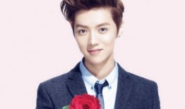 鹿晗小天后爆料视频大全,揭秘娱乐圈幕后真相