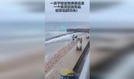 浪花男子爆料视频,幕后真相与精彩瞬间