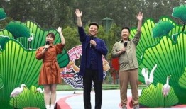 南阳学校爆料事件视频最新,真相揭开，家长学生共同关注