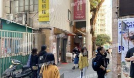 桂庙新村爆料事件始末视频,真相与争议的交织