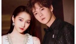 娱乐圈吃瓜爆料谁,揭秘明星背后的秘密与真相