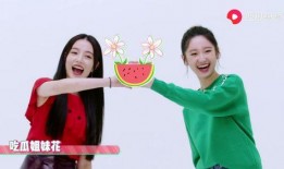 西瓜视频娱乐爆料,娱乐圈最新动态大揭秘！