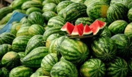 那些吃瓜网红,揭秘网络红人的八卦盛宴