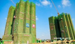 今日佛山爆料最新消息,揭秘城市热点事件背后的真相