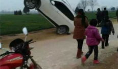 河南车友爆料视频大全下载