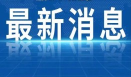 近期新闻热点爆料案例,爆料案例背后的真相与反思