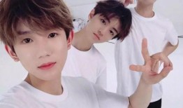 tfboys娱乐吃瓜酱,揭秘偶像背后的真实生活