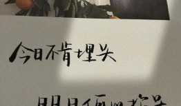 吃瓜网红文案句子简短,网红吃瓜文案大盘点