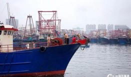 爆料渔船视频播放下载安装,下载安装过程全记录