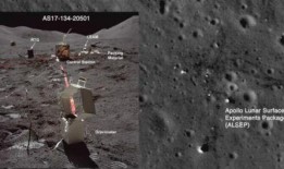 阿姆斯特朗爆料视频,独家内幕大公开