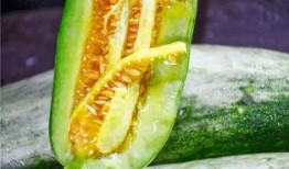 网红有瓜吃是谁,网红背后的神秘生成者