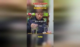 茶叶大佬爆料视频大全,视频大全中的茶叶奥秘与传奇故事