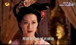 宫廷怨史 在线观看,权谋与情仇的宫廷秘史