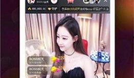 爆料风格直播视频大全最新,爆料风格视频大全，带你领略最新直播潮流