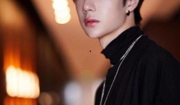 娱乐圈爆料天涯王一博,娱乐圈爆料背后的真相与争议