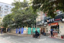 桂庙新村爆料事件始末视频,真相与争议的交织