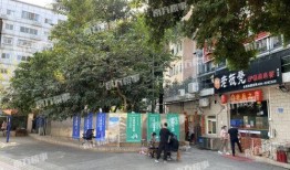 桂庙新村爆料事件始末视频,真相与争议的交织