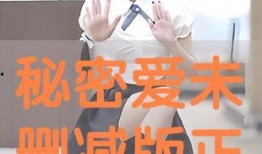 秘密爱未删减在线观看,未删减版，揭开情感谜团的真相