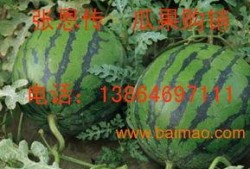 新瓜最新爆料潍坊,揭秘背后惊人真相