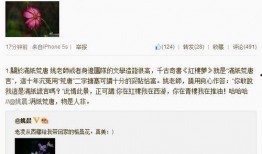 微博娱乐爆料人,揭秘明星幕后故事