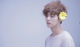 鹿晗小天后爆料视频大全,揭秘娱乐圈幕后真相