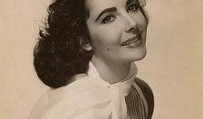 伊丽莎白在线观看,在线观影指南：重温经典，感受历史魅力