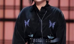 刘大锤最新爆料杨子,娱乐圈风云再起