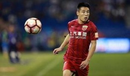 武磊球场爆料视频最新版,揭秘球场幕后故事