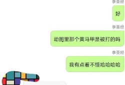 打人人员爆料视频播放,现场冲突一幕令人震惊