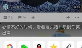 吃瓜老衲爆料视频下载,独家下载解析