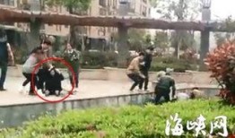 闽侯上街爆料事件视频播放,视频揭示惊人真相